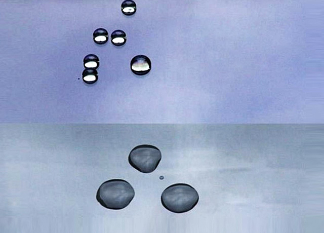 투명한 릴리스 마스터 배치 도매